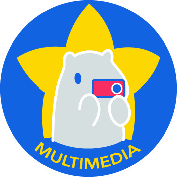 Multimedia Commission