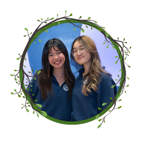 Sexual Health Commissioners Image